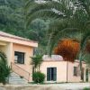 Casa color pesca con palme e vegetazione verde intorno.