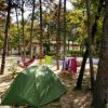 Una tenda verde in un bosco, con persone su amache e vestiti appesi.
