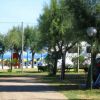 Campeggio vicino al mare con alberi e ombrelloni gialli e blu.