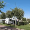 Camper parcheggiato su erba tra alberi.