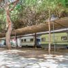 Roulotte parcheggiate sotto alberi.